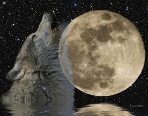 full-moon-month-night-wolf-name-sky-January